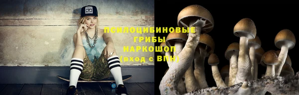 a pvp Гусев