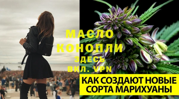 первитин Гусь-Хрустальный