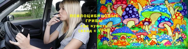 первитин Гусь-Хрустальный